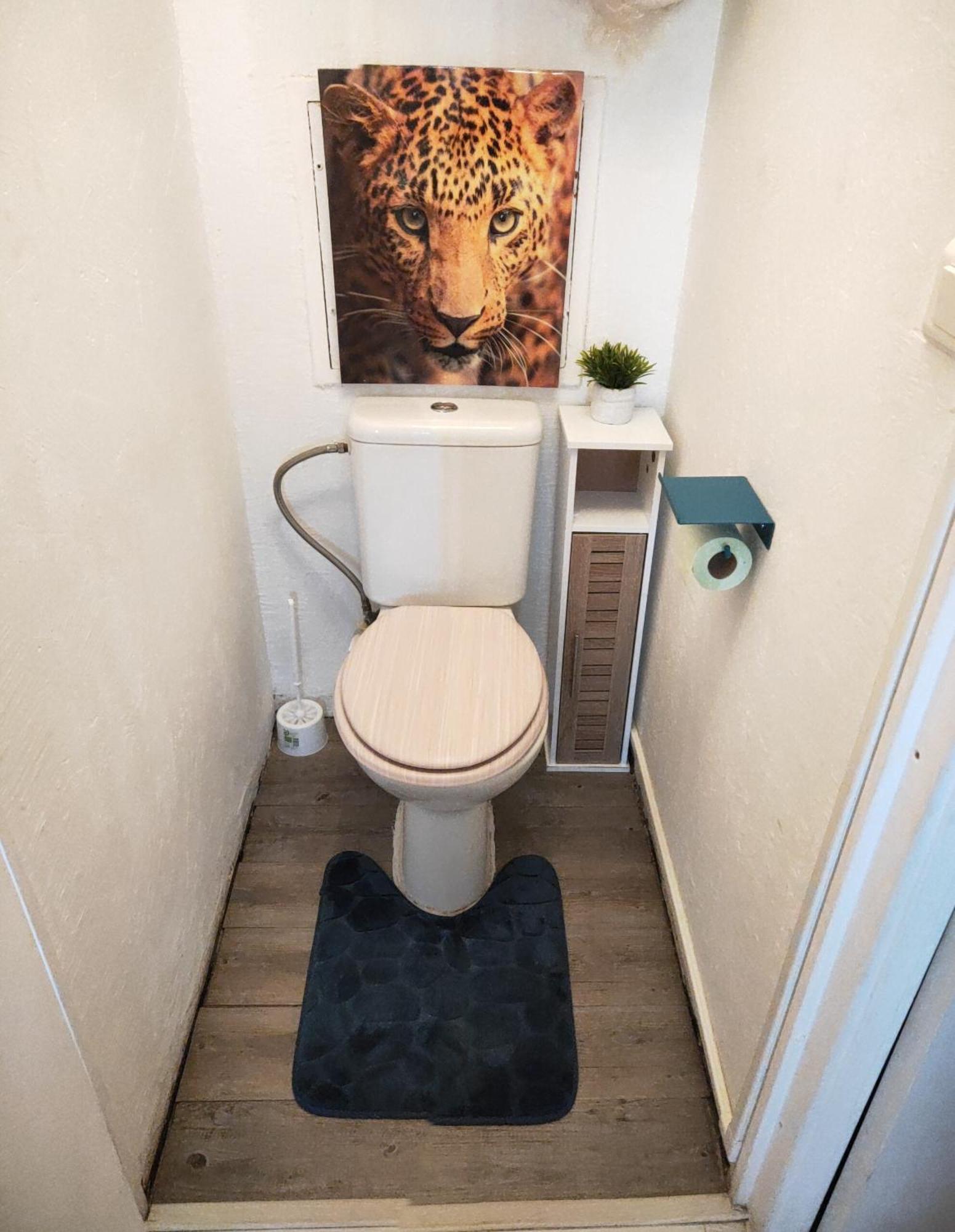 La Perle Marine, Cosy Et Renove, 200 M De La Plage, 1 Chambre, Parking Et Wifi 塞特港 外观 照片