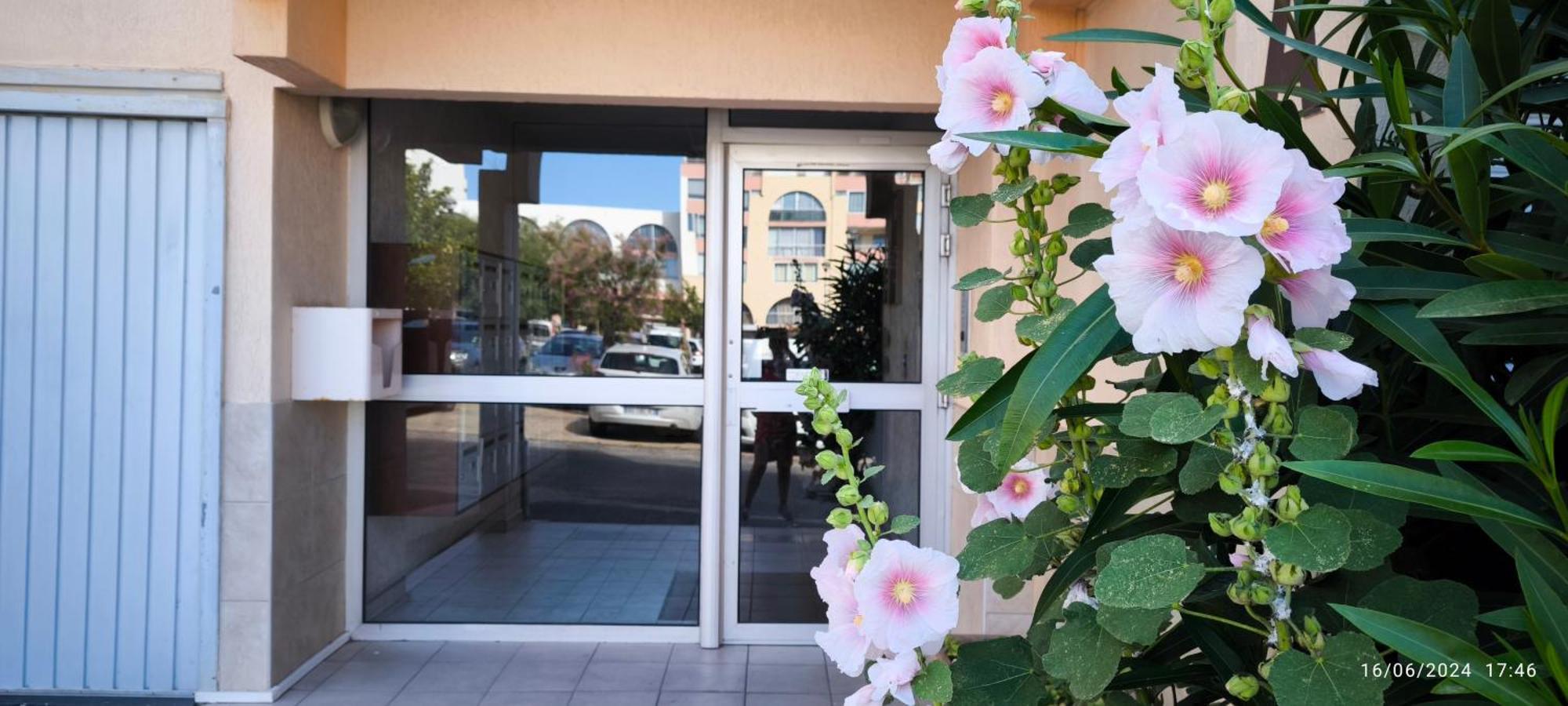 La Perle Marine, Cosy Et Renove, 200 M De La Plage, 1 Chambre, Parking Et Wifi 塞特港 外观 照片